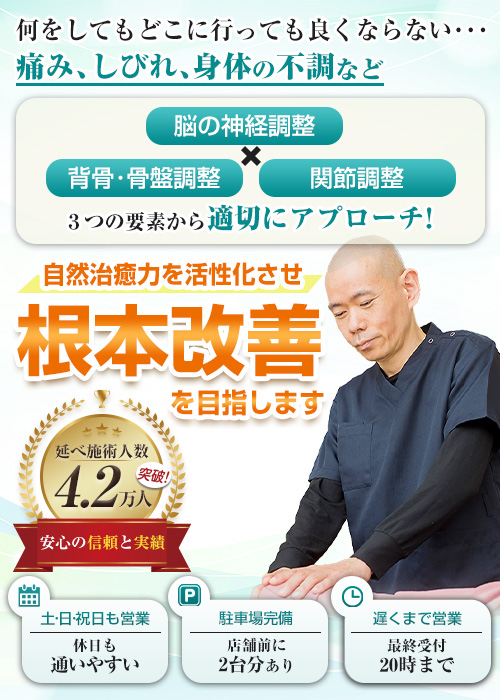 こだるま整体院（SP）